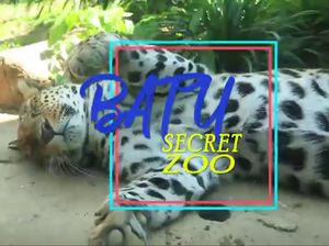 Batu Secret Zoo
