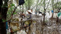 Aksi ini menjadi salah satu program dari PBB untuk menanggulangi sampah dan memberikan edukasi kepada warga terkait dengan pentingnya menjaga lingkungan. Kham/Reuters.