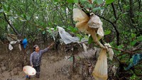 Bertepatan dengan Hari Lingkungan Hidup Sedunia PBB menggagas aksi bersih-bersih lingkungan dengan mengerahkan warga sekitar pantai di Vietnam membersihkan area pantai dari sampah-sampah yang berserakan mengganggu ekosistem lingkungan sekitarnya. Nguyen Huy Kham/Reuters.