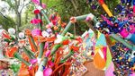 Ribuan Sampah di Meksiko Disulap jadi Hutan Plastik yang Keren