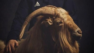 Meme-meme Messi dan Kambing