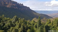 Di sana kita juga bisa melihat binatang liar khas Australia seperti kanguru, walabi (kanguru kecil) hingga platipus (Rivki/detikTravel)