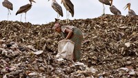 Berbicara tentang sampah India merupakan salah satu negara yang berjuang penuh untuk memerangi sampah. Setelah pemberitaan miring mengenai keindahan Taj Mahal yang ternoda karena sampah, Pemerintah India semakin terpacu untuk berusaha memperbaiki pengelolaan sampah di India. Anuwar Hazarika/Reuters.
