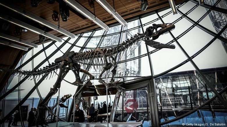 Kerangka Dinosaurus Misterius Terjual 2 Juta Euro pada Lelang di Paris Kerangka Dinosaurus Misterius Terjual 2 Juta Euro pada Lelang di Paris