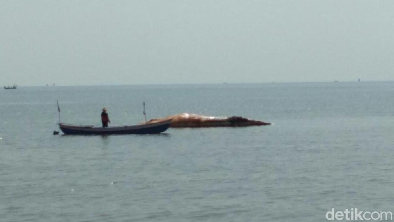 Seekor Paus Ditemukan Membusuk di Pantai Duta Probolinggo Seekor Paus Ditemukan Membusuk di Pantai Duta Probolinggo