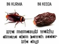 Kumpulan Meme Lucu Buat Kamu Yang Fobia Kecoak