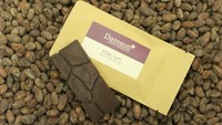 Salah satu contoh coklat batangan yang sudah dibungkus. Istimewa/damsonchocolate.com.