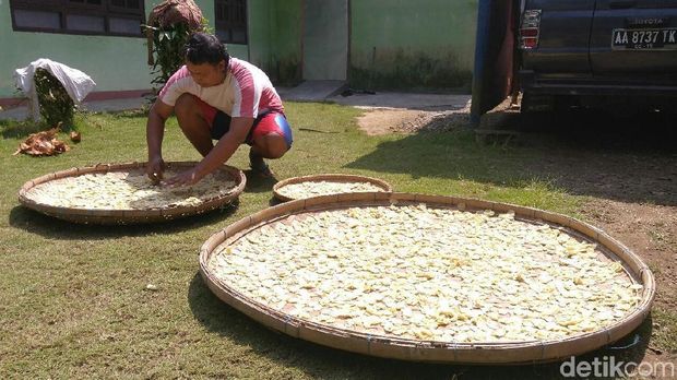 Proses pembuatan emping di Purworejo. 