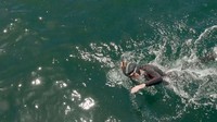 Ekspedisi kali ini Lecomte berenang dari wilayah Chosi, Prefektur Kanto, Jepang, pada 5 Juni kemarin (Foto: Dok. Seeker.com via ABC News)