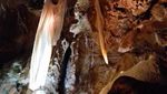Foto: Gua Tertua di Dunia, Ada di Australia