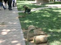 Taman Kota di Baku Bikin Iri, Cantik dan Fasilitas Komplit!