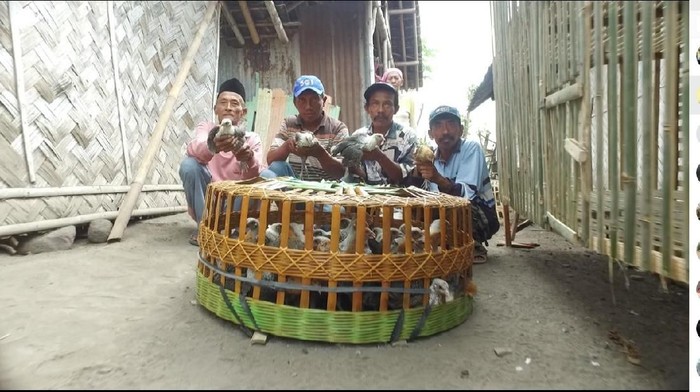 Lewat Cara Ini, Pemerintah Bantu Petani Keluar dari Kemiskinan