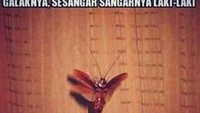 Siapa yang berani bergeming saat berhadapan dengan serangga terbang satu ini? (Foto: Internet)