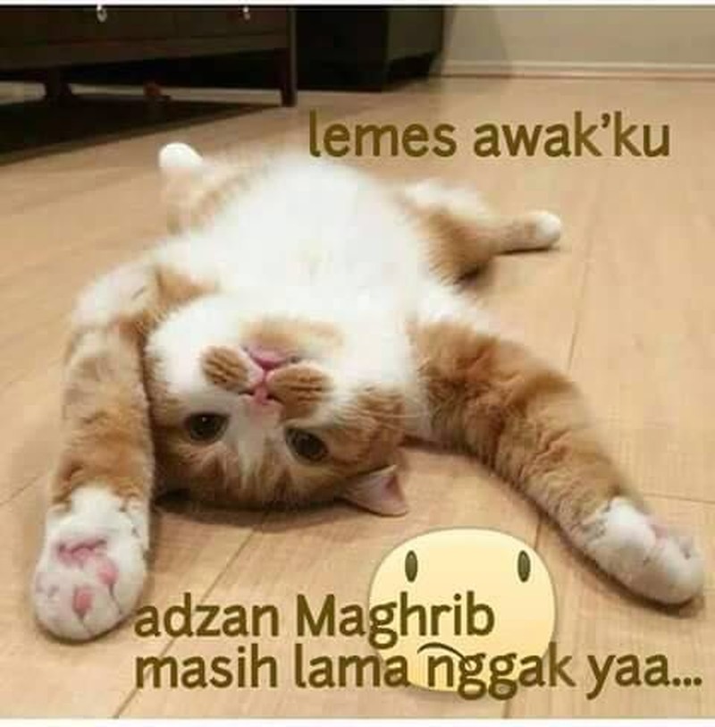 Siapa nih yang mulai merasa lemas saat puasa hari ini? Coba lihat dulu kumpulan meme kocak berikut, siapa tahu bisa jadi segar lagi hehe.