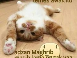 Meme Kocak Puasa Bikin Ngakak, Pas untuk Ngabuburit Hari Pertama