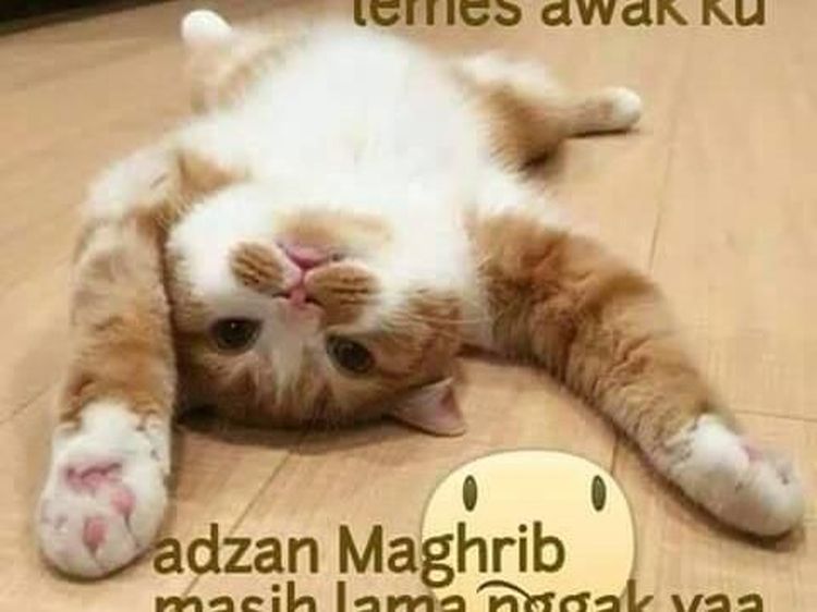 Meme Kocak tentang Orang-orang yang Lemas saat Puasa, Ada? Banyak!