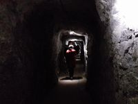 Jalan menyusuri Jenolan Cave (Rivki/detikTravel)