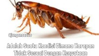 Itu namanya kecewa bukan kecoa! (Foto: Internet)