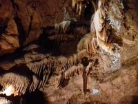 Bagian dalam Jenolan Cave (Rivki/detikTravel)