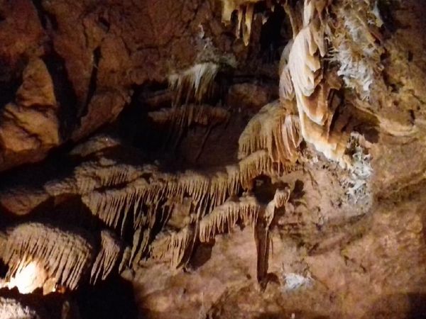 Foto: Gua Tertua di Dunia, Ada di Australia
