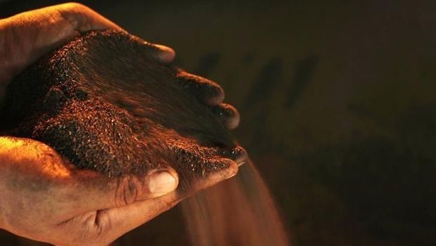 A worker poses with a handful of nickel ore at the nickel mining factory of PT Vale Tbk, near Sorowako, Indonesia's Sulawesi island, January 8, 2014. REUTERS/Yusuf Ahmad