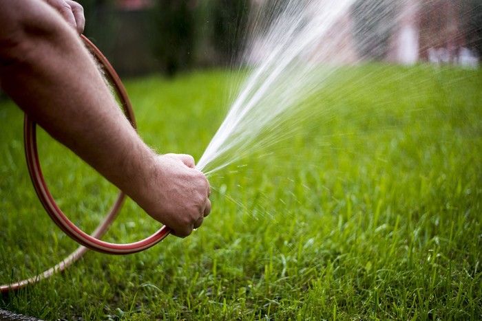 Man watering garden with hose, close-up