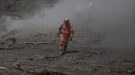 Deretan Hewan yang Mati Akibat Letusan Gunung Fuego