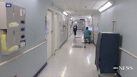 Sutcliffe menyatakan selama 24 jam gigitan itu memberi dampak buruk. Suami Sutcliffe diberikan 26 dosis anti-racun padahal biasanya mereka yang digigit ular hanya diberi 2-4 dosis.  (Foto: Dok. ABC News)