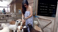 Selain itu netizen juga menyoroti foto unggahannya saat memberi susu kepada anak-anak kambing. Dok. Instagram/babymargaretha1