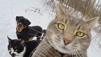 Selfie time...Foto: bored panda