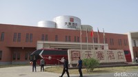 Masih di Gurun Gobi juga ada Tiansai Winery. Tiansai adalah saingan Xiandu dengan perkebunan yang bersebelahan (Fitraya/detikTravel)