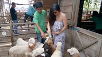 Baby Margaretha yang tengah hamil besar itu, berlibur ke Bandung dan menyempatkan diri ke peternakan kambing. Dok. Instagram/babymargaretha1