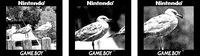 Game Boy Camera Ini Pakai Lensa Tele Canon