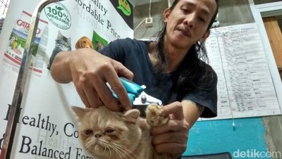 Titip Hewan Peliharaan Supaya Mudik Tenang
