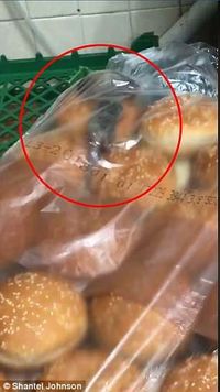 Beredar Video Tikus dalam Bungkus Roti, Gerai Fast Food Ini Tutup
