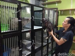 Tempat Penitipan Hewan Mulai Kebanjiran Order