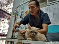 Tempat Penitipan Hewan Mulai Kebanjiran Order