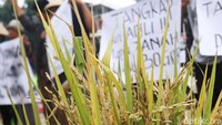 Mereka meminta KPK memeriksa para oknum pejabat yang terkait kasus sengketa tanah yang meresahkan dan bermain bak mafia.