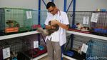 Jelang Lebaran, Jasa Penitipan Hewan Laris Manis
