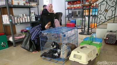Jelang Lebaran, Jasa Penitipan Hewan Laris Manis