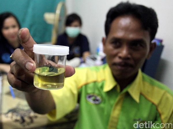Sopir Bus Lebaran Jalani Tes Narkoba di Terminal Kampung Rambutan