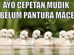 Jelang Libur Lebaran, Meme Mudik Ini Jadi Hiburan