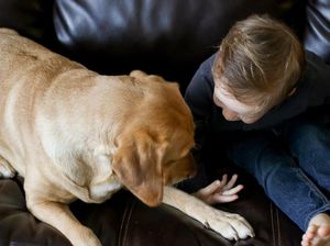 Balita Ini Berhasil Kabur dari Kamar Dibantu Anjing Peliharaan