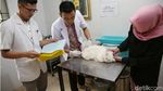 Jelang Lebaran, Jasa Penitipan Hewan Laris Manis