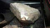 Ini penampakan batu besar yang menewaskan Saeful. (Foto: dok. Istimewa)