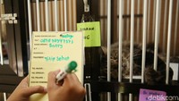 Saat ini sudah terdapat 30 ekor kucing yang dititipkan dan sudah 80 tempat yang dibooking selama menjelang mudik lebaran 2018.