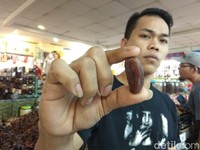 Berbisnis Kurma di Tanah Abang Beromzet Rp 20 Juta/Hari