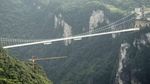 Foto: Bungee Jumping dari Jembatan Kaca Tertinggi Sedunia
