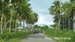 Mulus! Ini Lho Jalan Trans Maluku di Pulau Seram