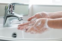 Cegah Diare Saat Mudik dengan Perhatikan 5 Soal Kebersihan Makanan